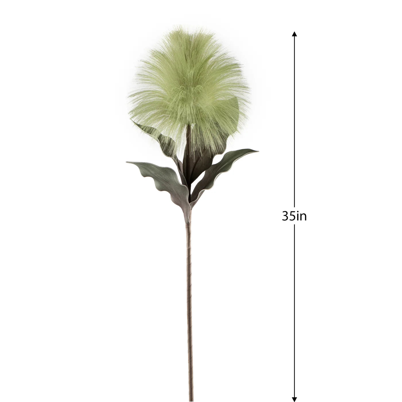 Desert Blooming Feather Pod 35L" Stem - white/ green
