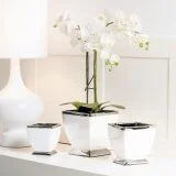 TALIA SILVER TRIM 6 X 6″ CERAMIC PEDESTAL POT / VASE