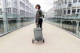 Shopping trolley Grey
