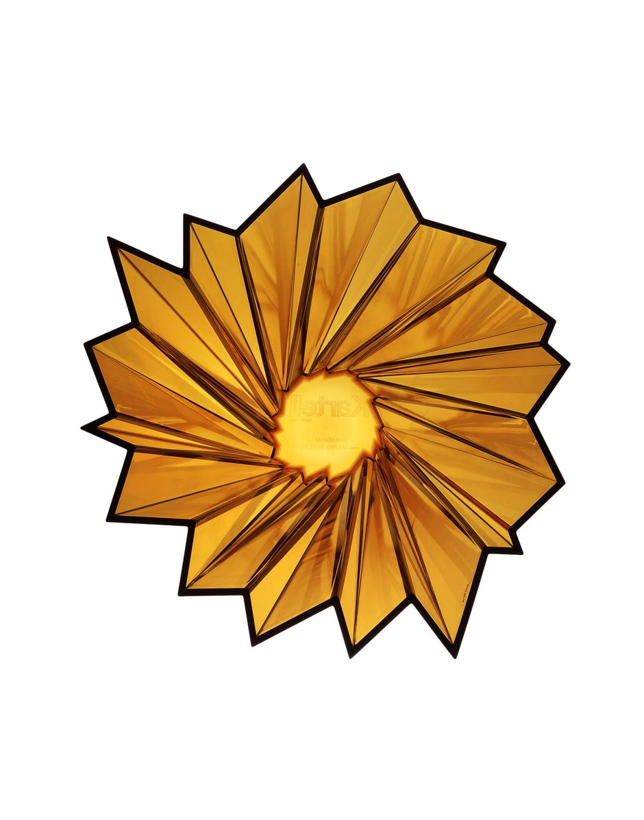 Shanghai Ambré/Amber
