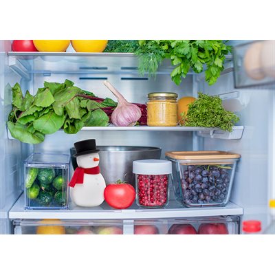 FREEZY FRIDGE DEODORIZER