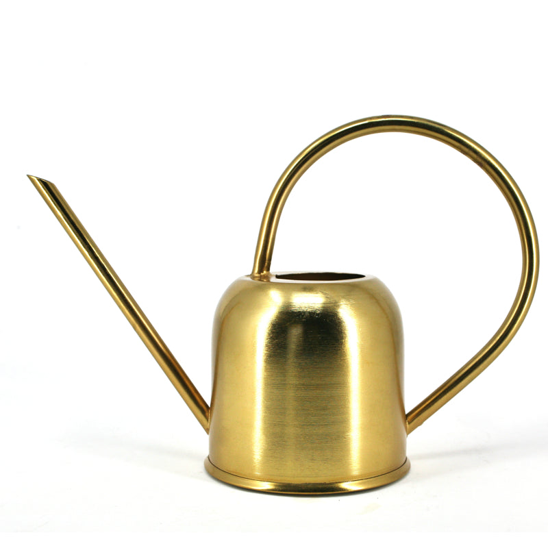 Small Watering Can