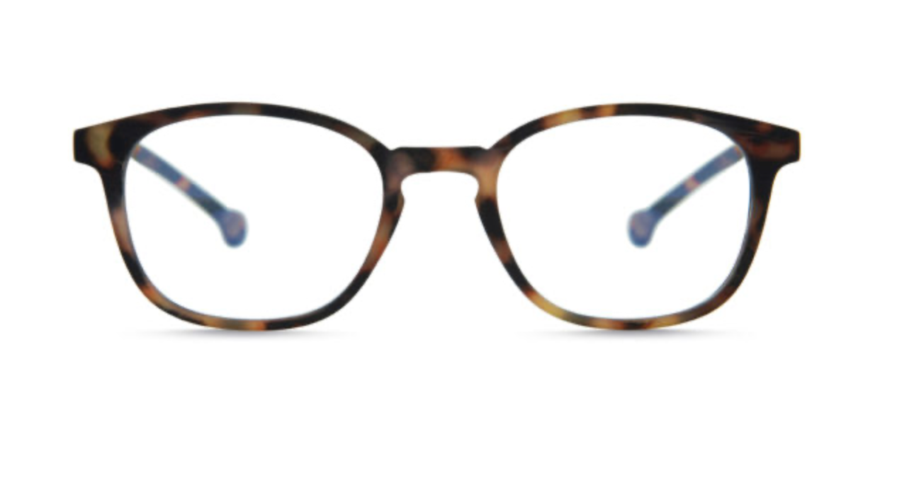 Sena Tortoise +3 Reading Glasses Parafina