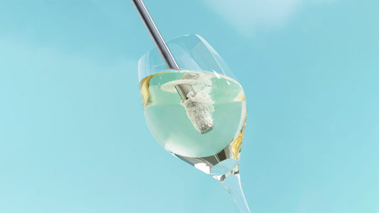 Airtender Aerator – Blister Pack