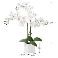 Orchid Potted Faux Triple Stem 23" - White