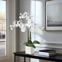 Orchid Potted Faux Triple Stem 23" - White