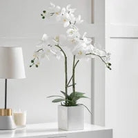 Orchid Potted Faux Triple Stem 23" - White