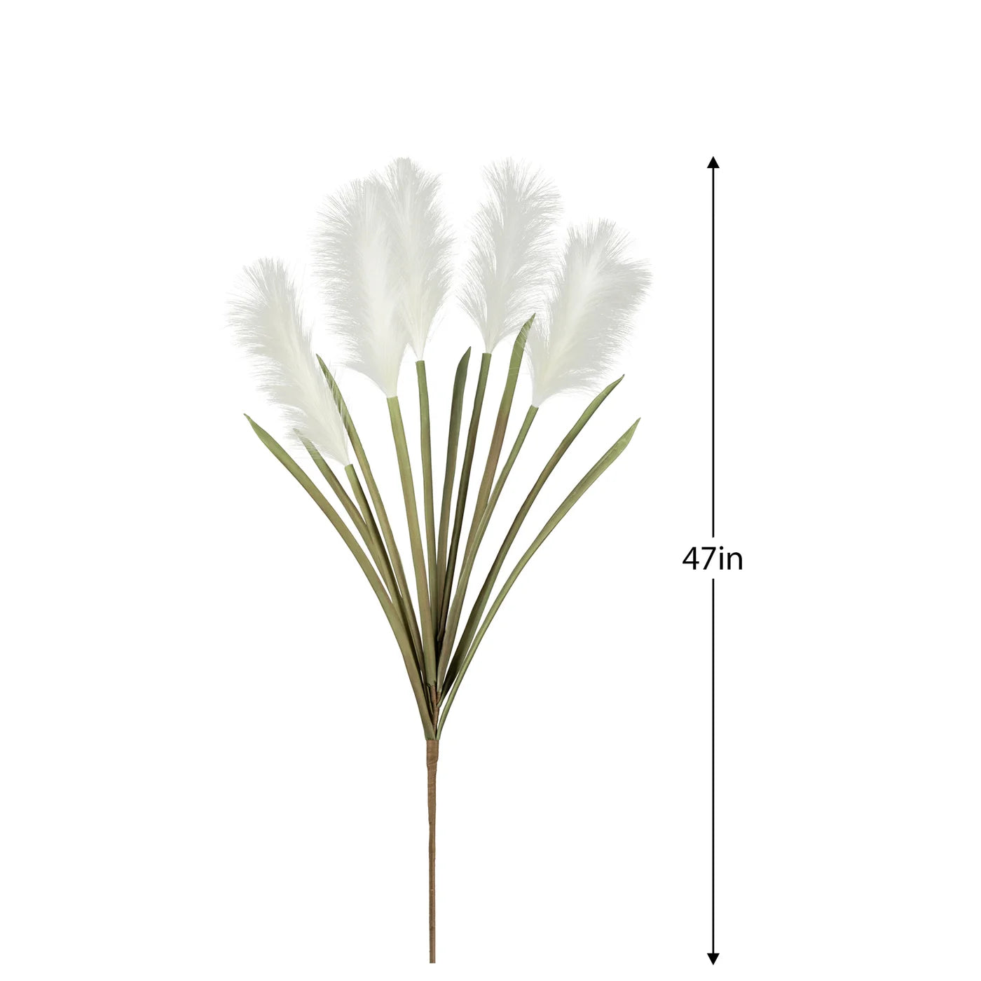 Desert Feather Pampas Grass Multi Bloom Stem