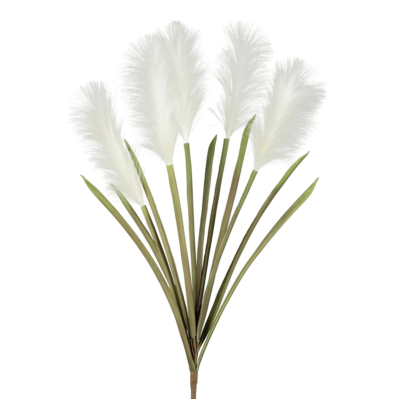 Desert Feather Pampas Grass Multi Bloom Stem