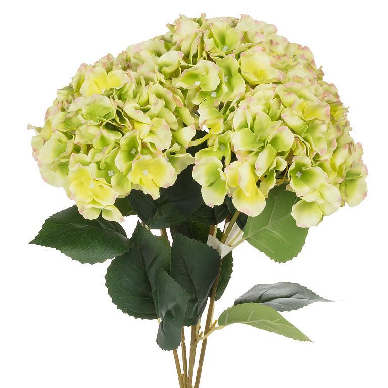 Large 5 Stem Hydrangea Bouquet