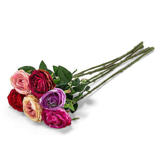 Large Austin Rose Stem