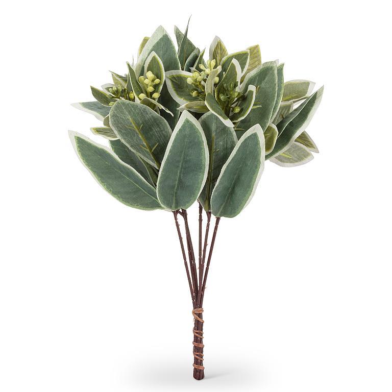 Varigated Leaf 6 Stem Spray