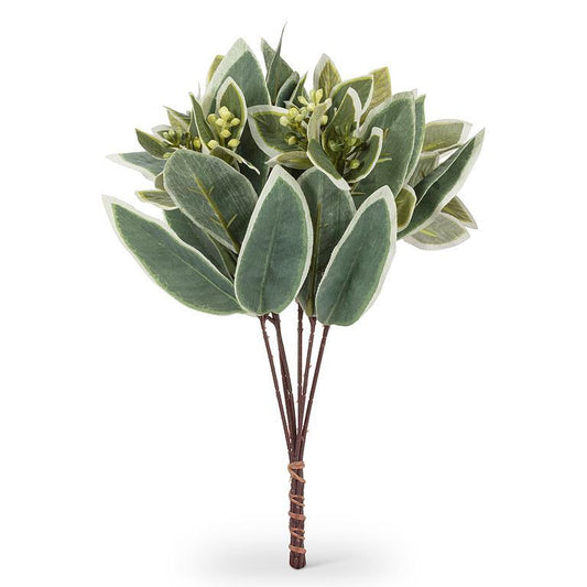Varigated Leaf 6 Stem Spray