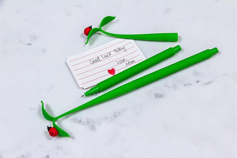 Ladybug on Leaf Pen