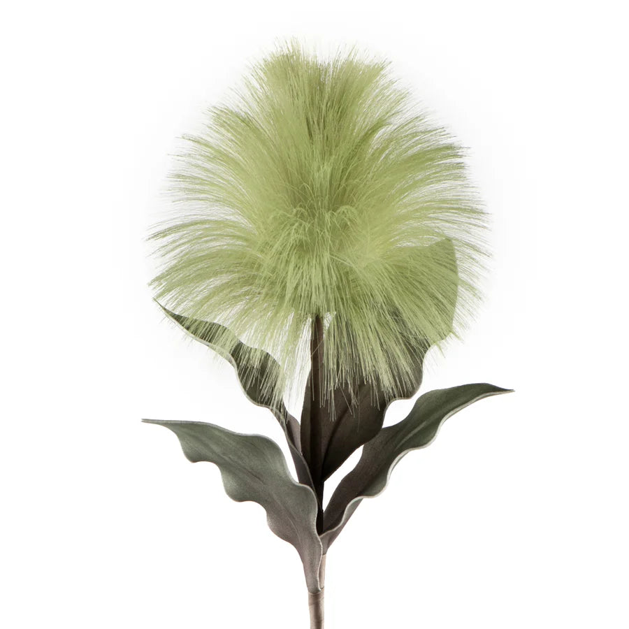 Desert Blooming Feather Pod 35L" Stem - Green