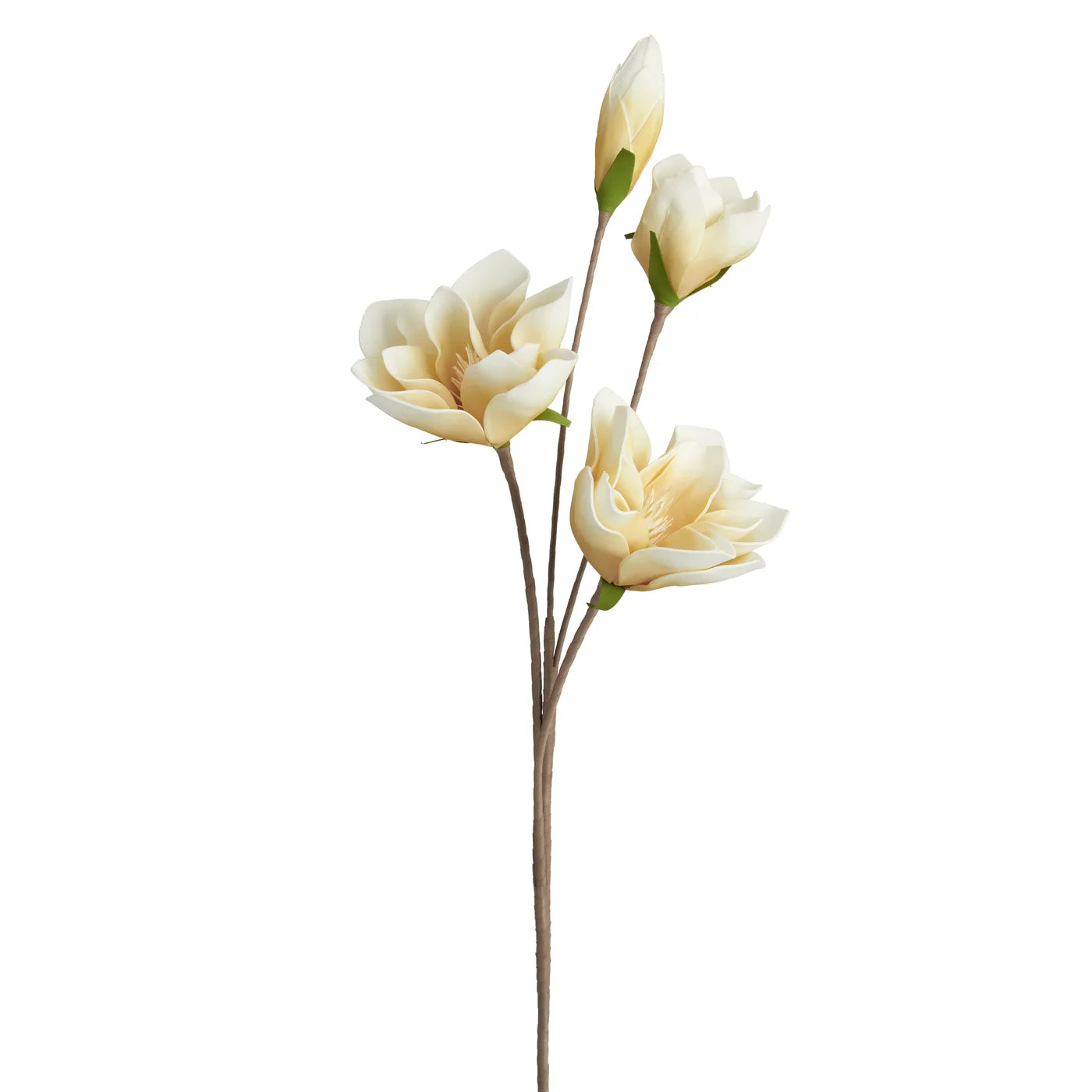 Desert Four Bloom Magnolia 41 Inch Length Stem - Yellow