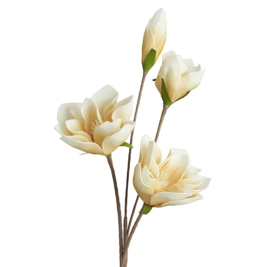 Desert Four Bloom Magnolia 41 Inch Length Stem - Yellow