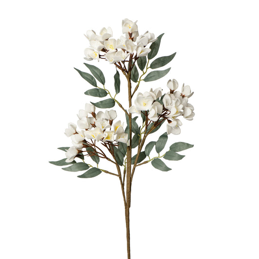 Desert 3 Cluster 30L" Cherry Blossom Stem with Leaves - White