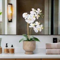 Verona 22h" Urn Potted Real Touch Orchid - Whiteг