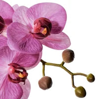 Verona 15.5h" Urn Potted Real Touch Orchid - Pink