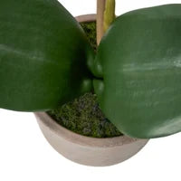 Verona 15.5h" Urn Potted Real Touch Orchid - Pink