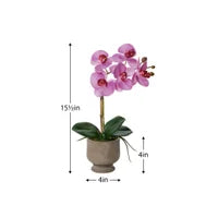 Verona 15.5h" Urn Potted Real Touch Orchid - Pink