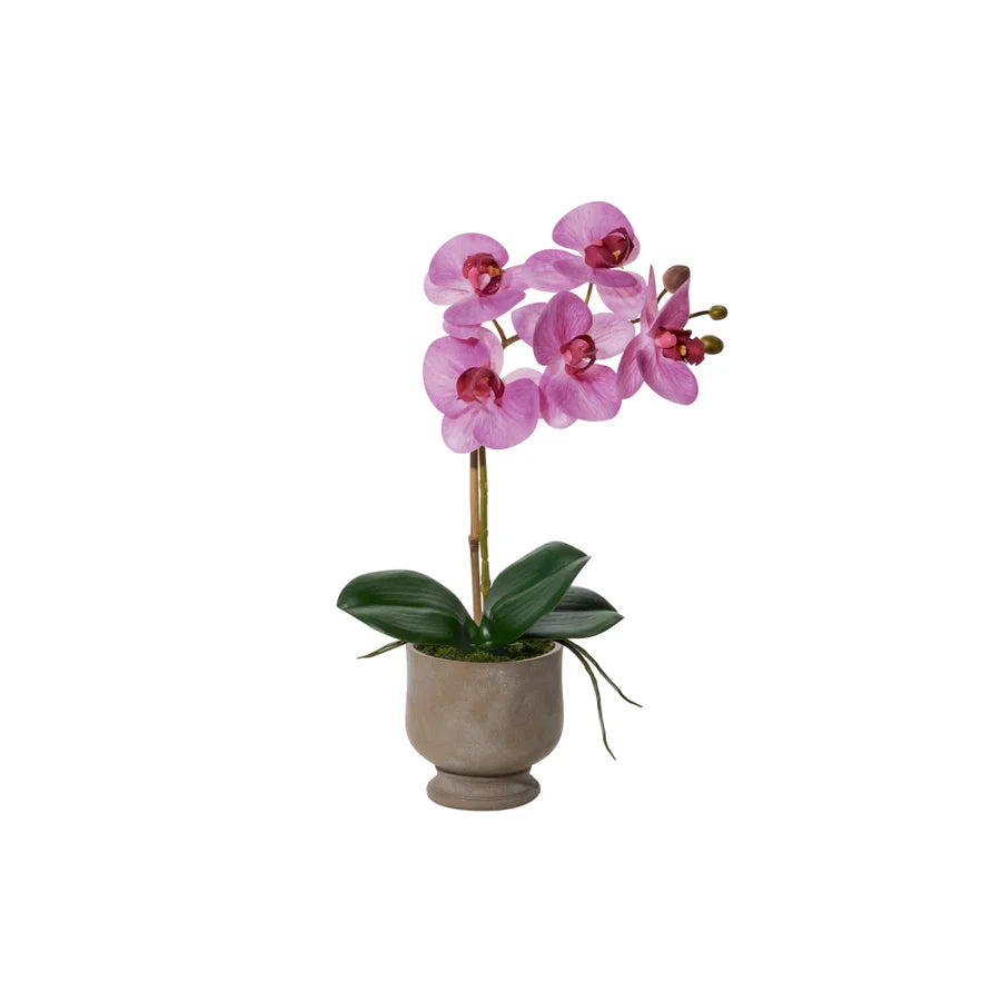 Verona 15.5h" Urn Potted Real Touch Orchid - Pink