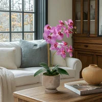 Verona 22h" Urn Potted Real Touch Orchid - Pinky