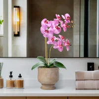Verona 22h" Urn Potted Real Touch Orchid - Pinky