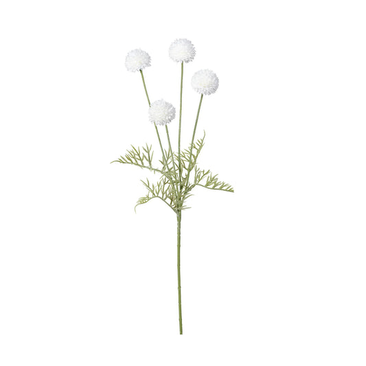 Pompom 4 Bloom 23.5 Inch Stem - White