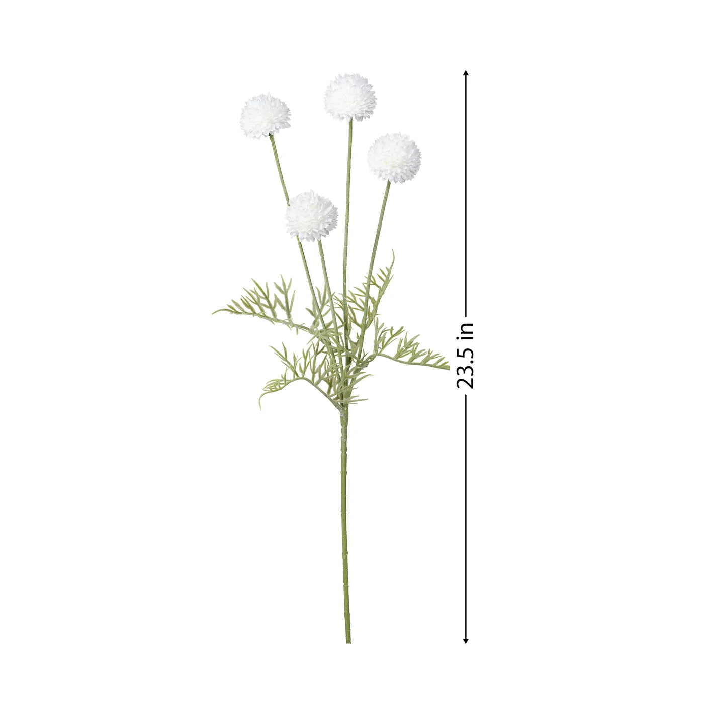 Pompom 4 Bloom 23.5 Inch Stem - White