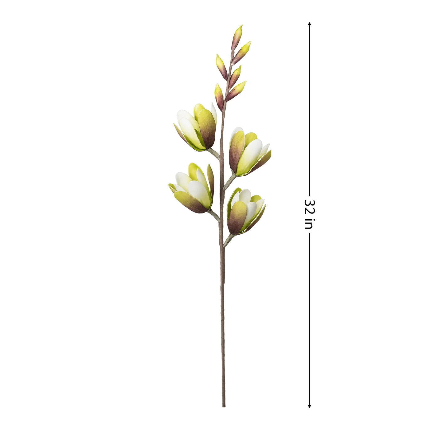 Desert Green Magnolia Spray 32 Inch Stem