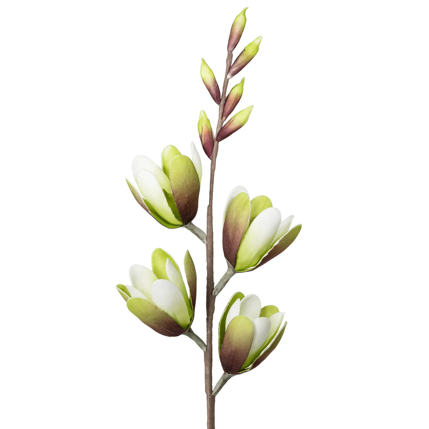 Desert Green Magnolia Spray 32 Inch Stem