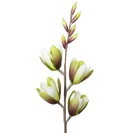 Desert Green Magnolia Spray 32 Inch Stem