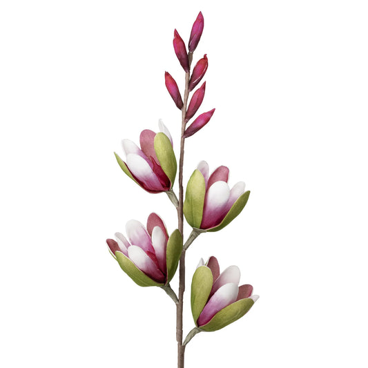 Desert Green Magnolia Spray 32 Inch Stem Pink
