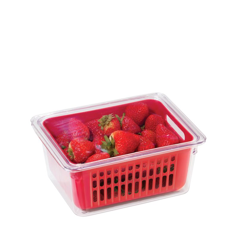 NEAT Single Berry Bin