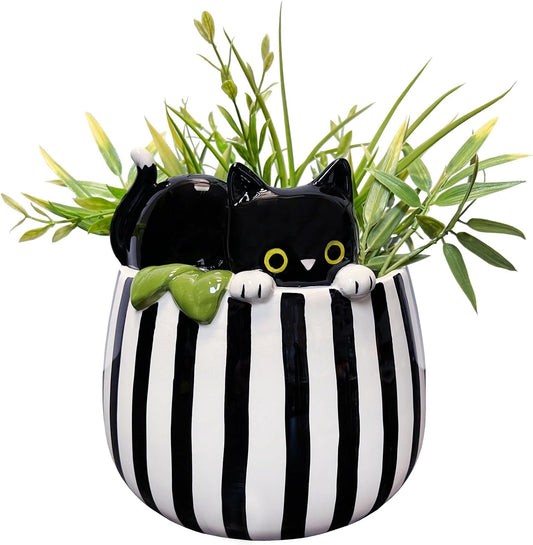 Ceramic Planter Pot for Succulent