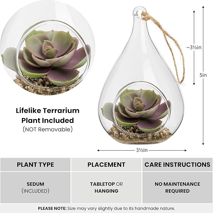 Hanging Glass 5h" Teardrop Potted Faux Succulent - Echeveria