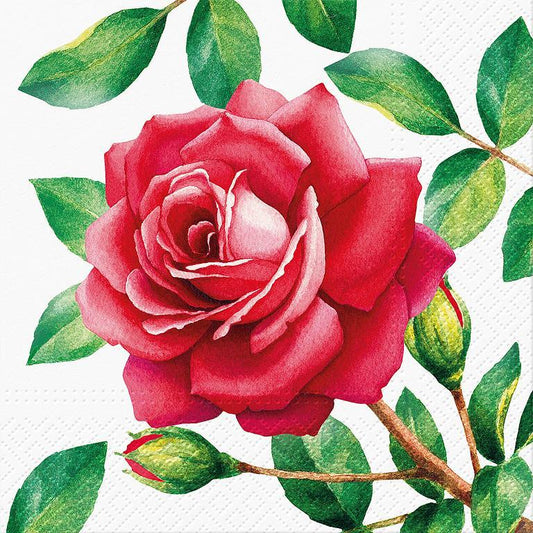 Luncheon Special Rose Napkins. Pack of 20