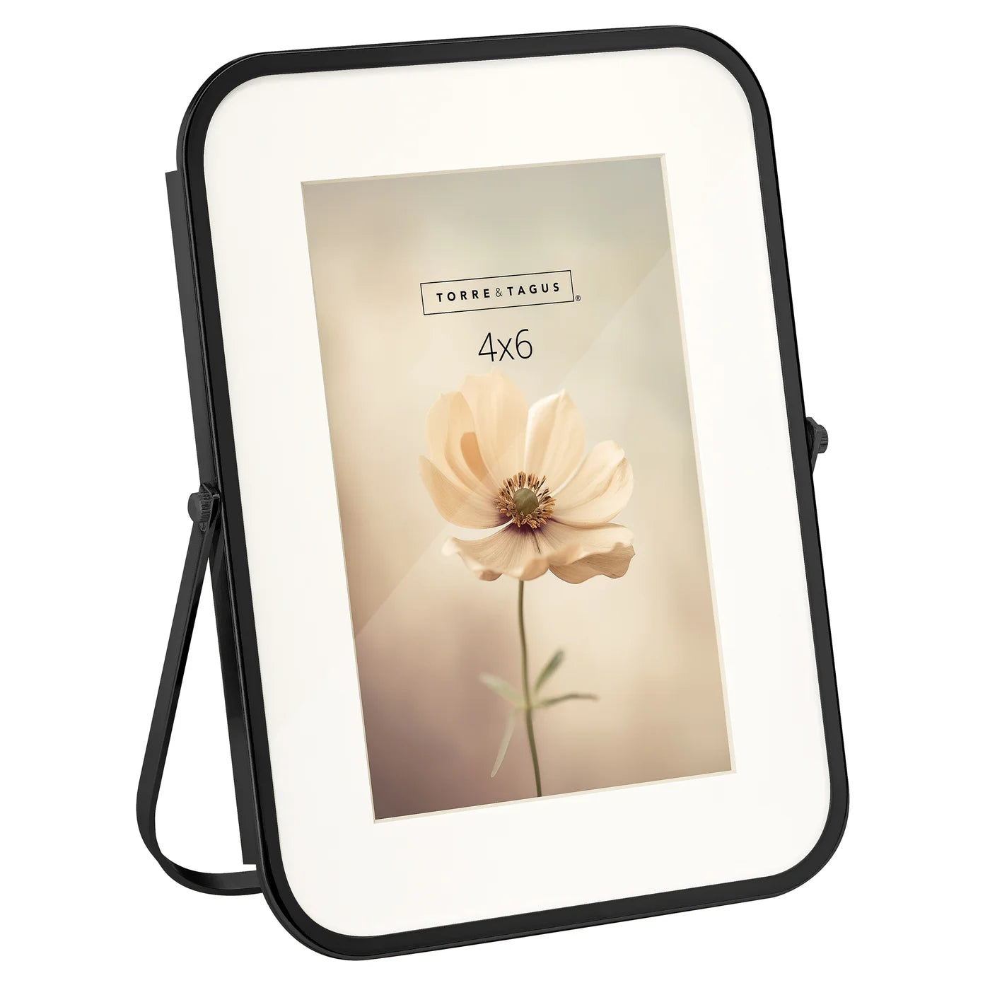 Aura Metal Curved Trim 4x6 Inch Mat Photo Frame - Black
