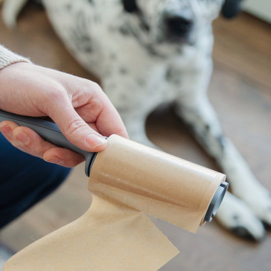 CLEAN OCEAN Lint Roller - 3pk