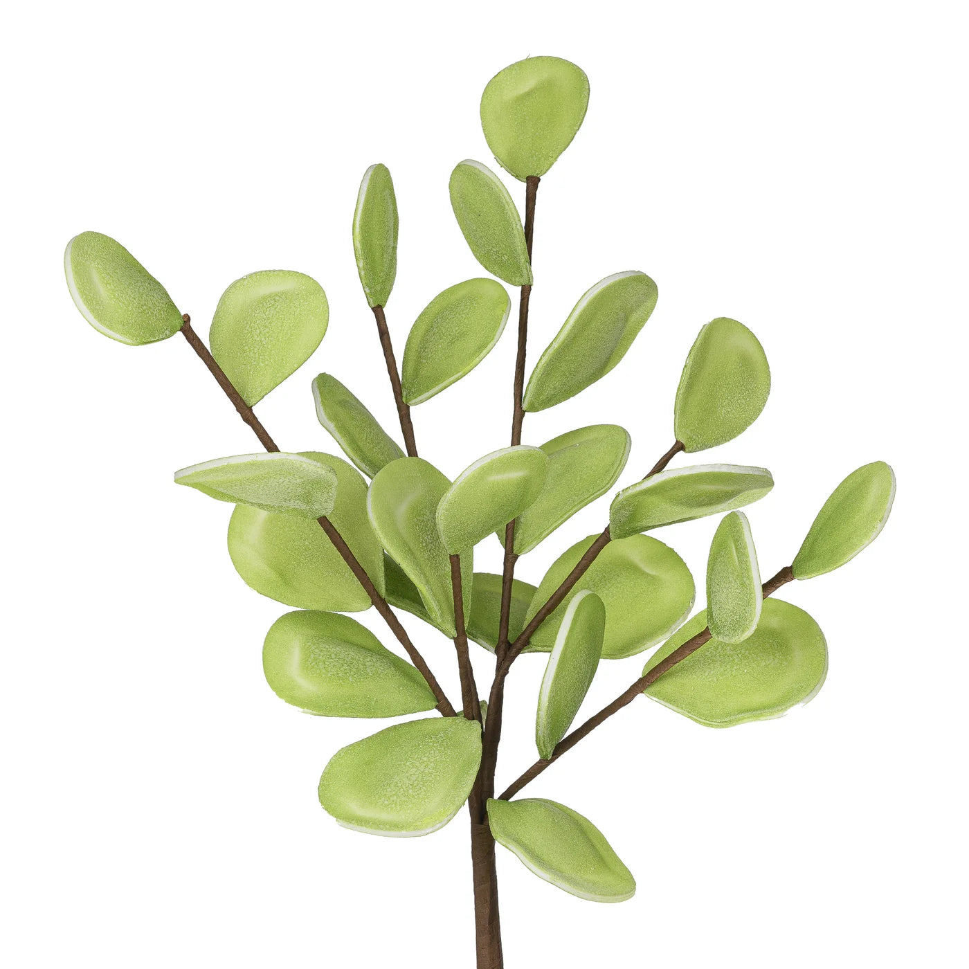 Desert Medallion 27 Inch Multi Leaf Stem - Light Green
