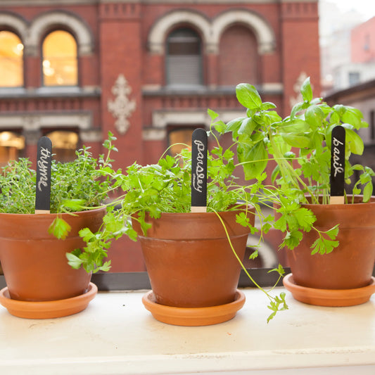 Reusable Garden Markers