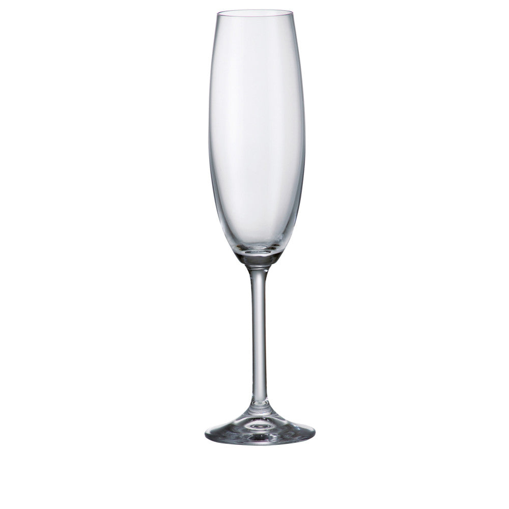 Gastro/Colibri Champagne Flute Stemmed Glass 220 ml Set of 6