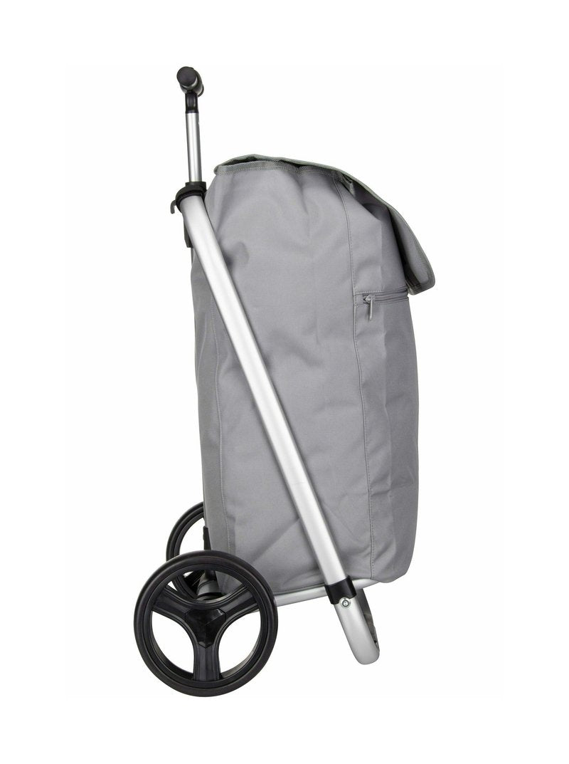 Shopping trolley Grey