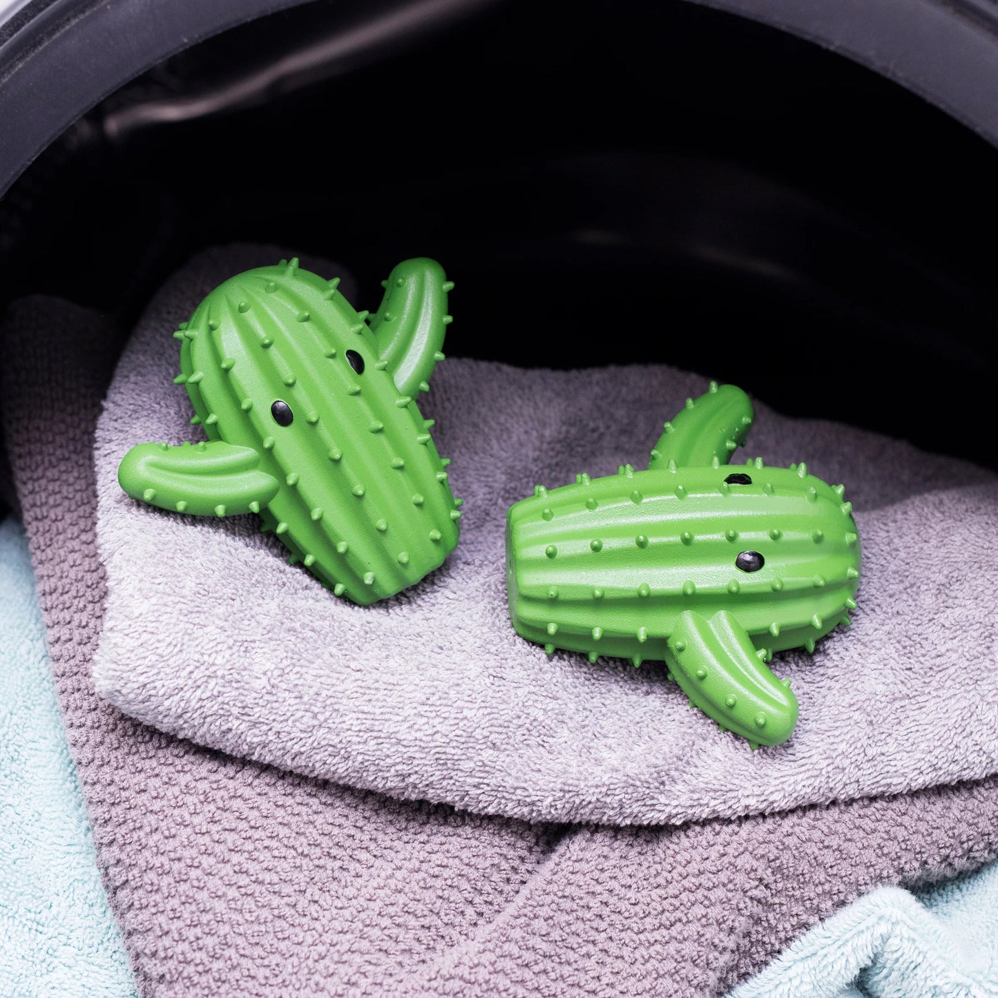 Cactus Dryer Buddies