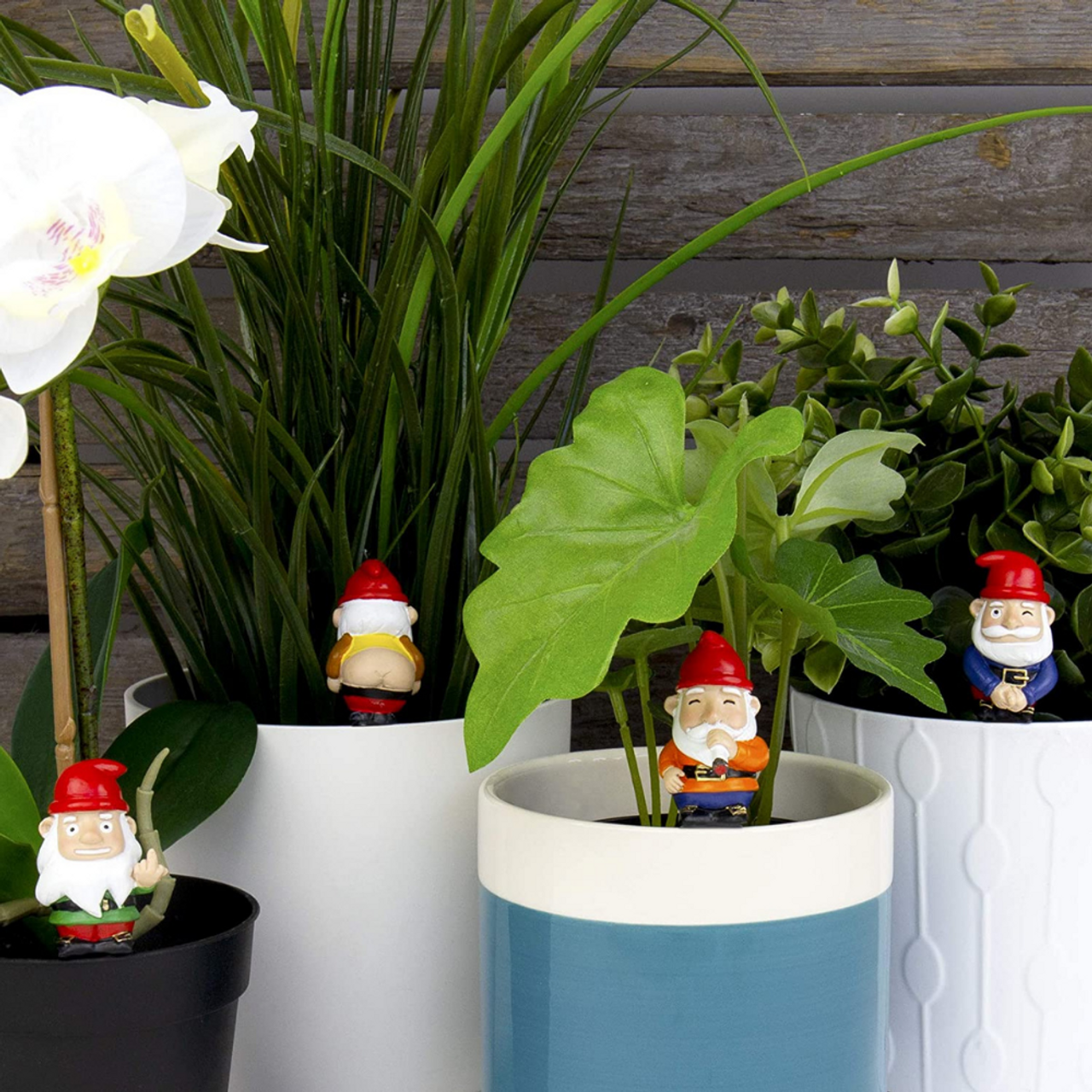 Mini plant pot Naughty Gnomes