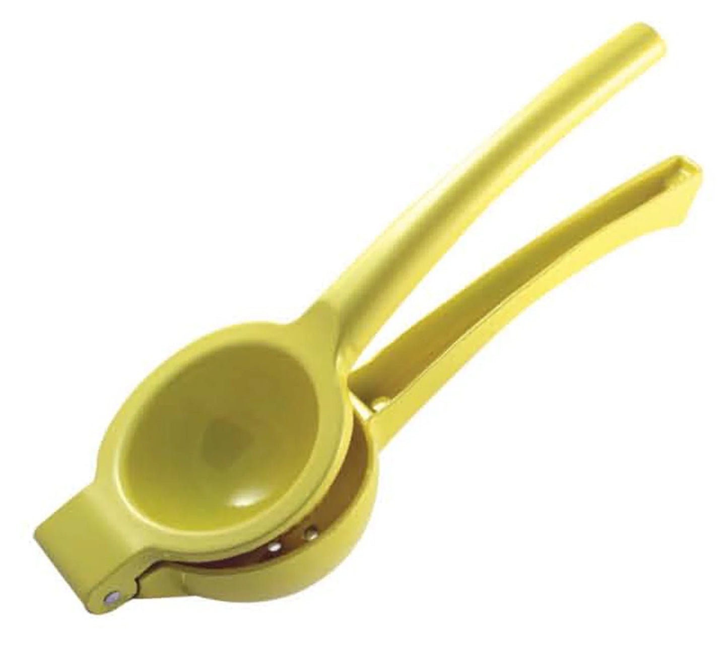 Kitchen basics Metal Lemon Press