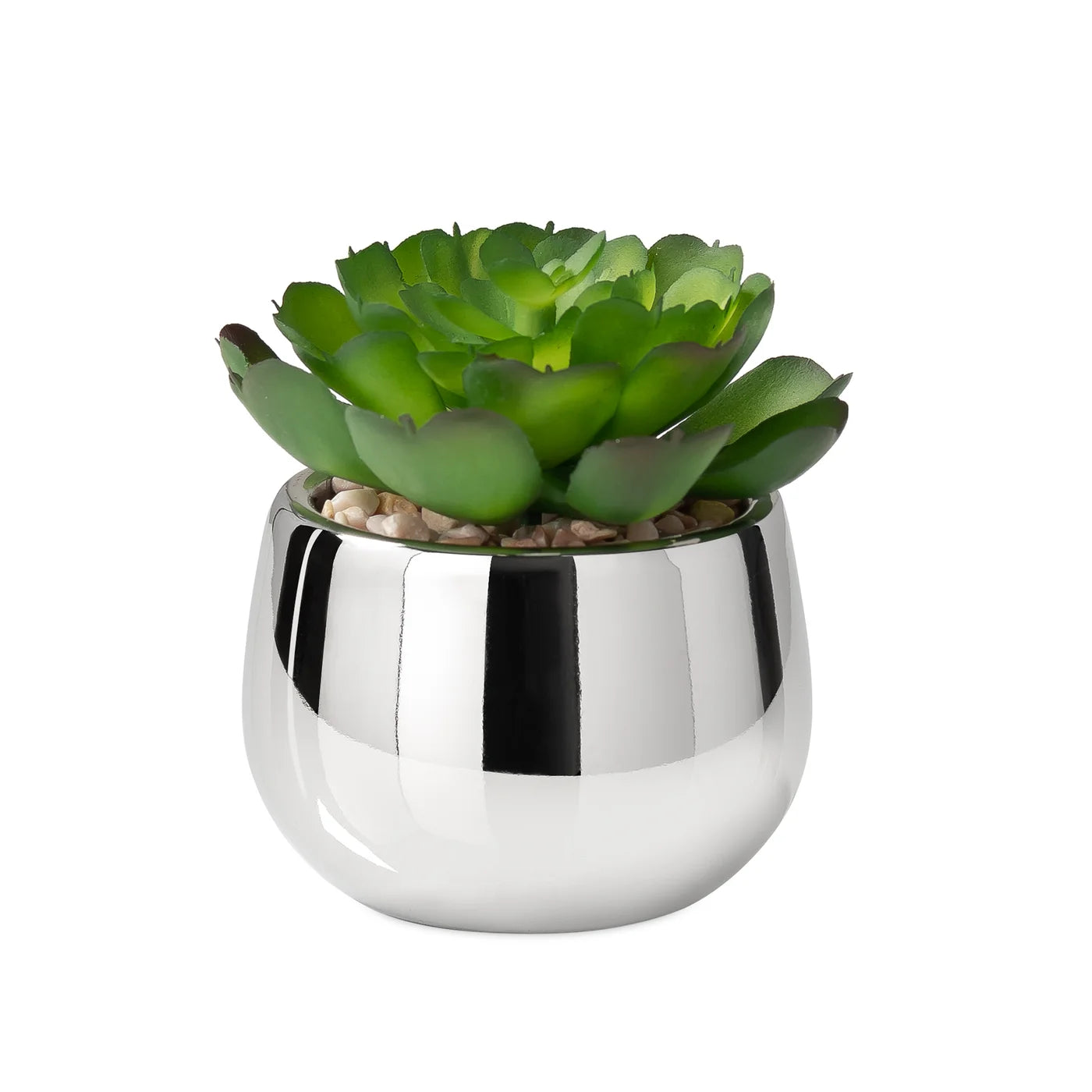 Silver Ball Potted Faux Succulent - Echeveria