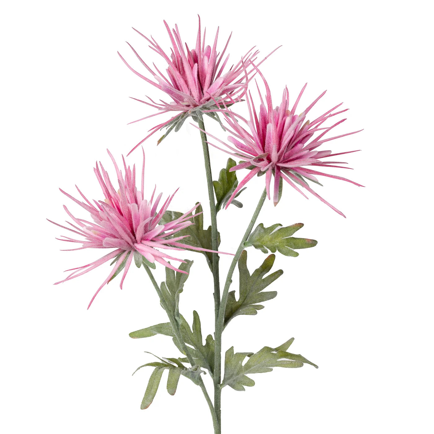 Spike Dahlia 3 Bloom 27.5 Inch Stem - Pink